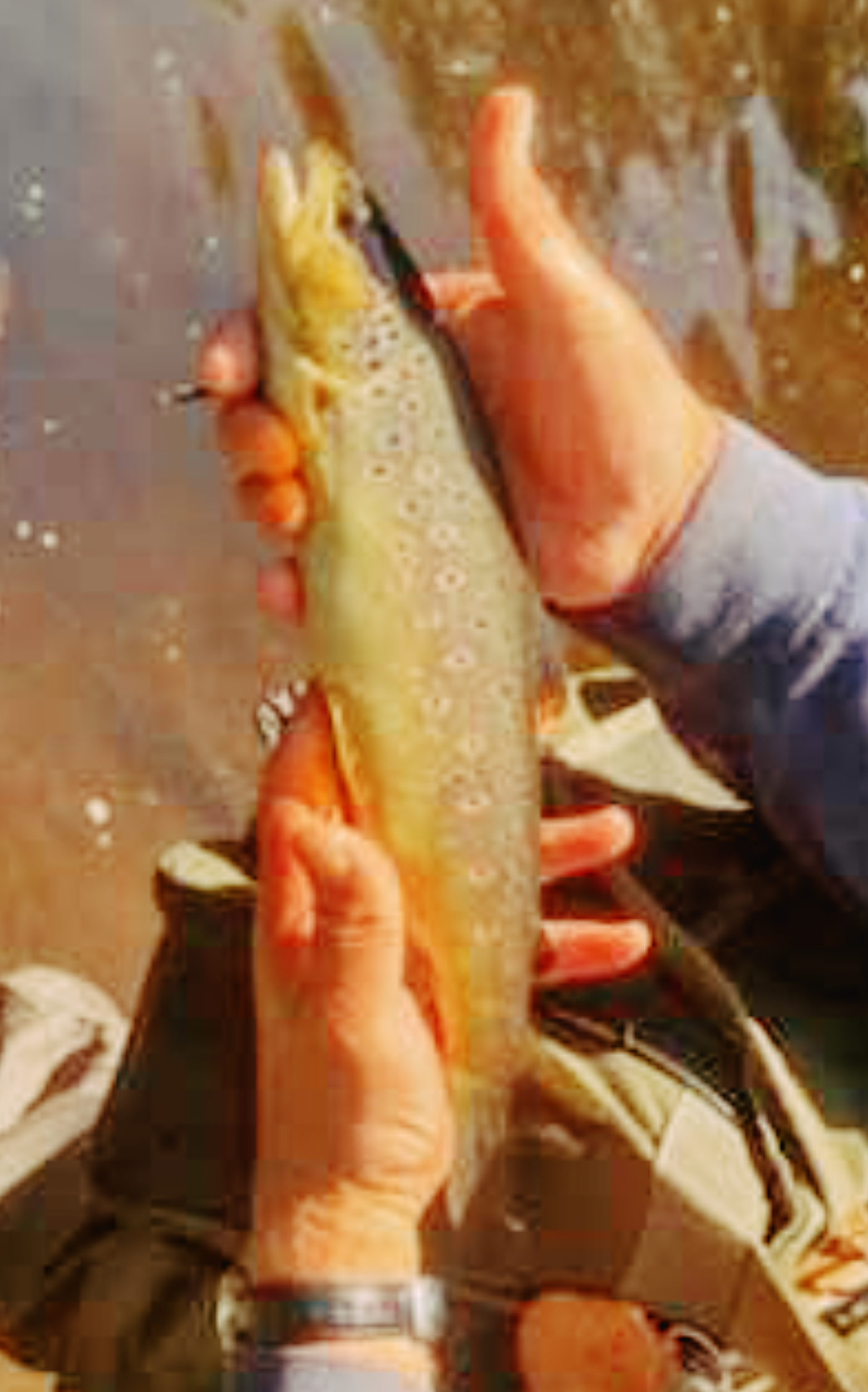 Fishing Image