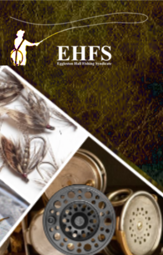 Brown trout in net over river stones